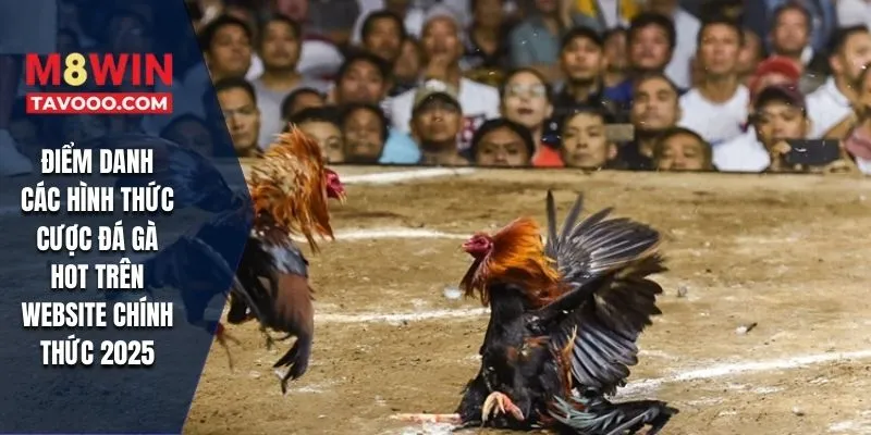 Điểm danh các hình thức cược đá gà HOT trên website chính thức 2025