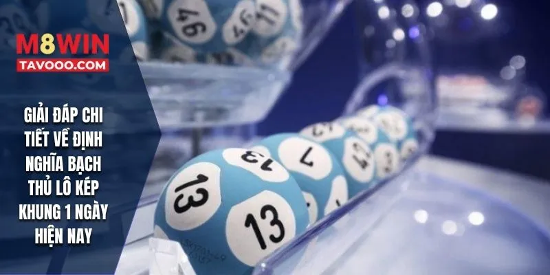 Giải đáp chi tiết về định nghĩa bạch thủ lô kép khung 1 ngày hiện nay