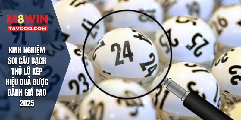 Kinh nghiệm soi cầu bạch thủ lô kép hiệu quả được đánh giá cao 2025